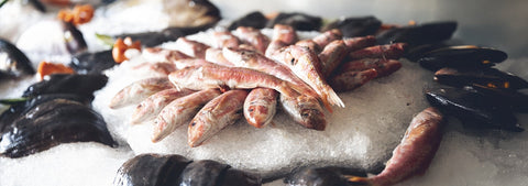 Why Nativo.ae Is Your Trusted Frozen Seafood Supplier in the UAE