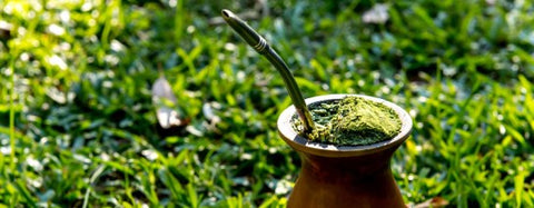 Kickstart Your Day and Energize Your Day with Erva Mate from Brazil by Nativo.ae